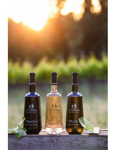 Vallon d'Escale Rosé 2019 75cl Vallon d'Escale Rosé 2019 75cl