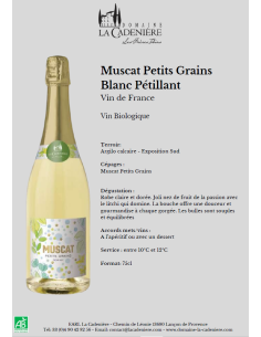 Muscat Petits Grains Pétillant Demi-sec 2