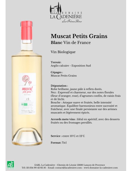 copy of Muscat Petits Grains Pétillant Demi-sec