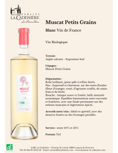 copy of Muscat Petits Grains Pétillant Demi-sec 2