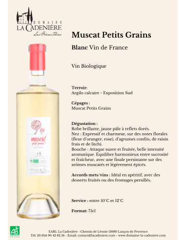 Muscat Petits Grains Doux