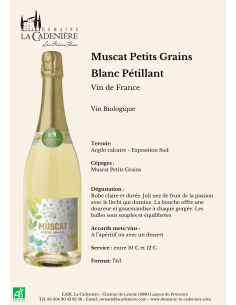 Muscat Petits Grains Pétillant Demi-sec 2