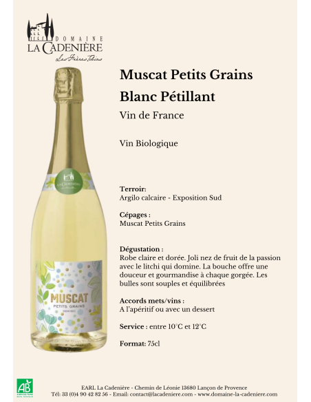 Muscat Petits Grains Pétillant Demi-sec