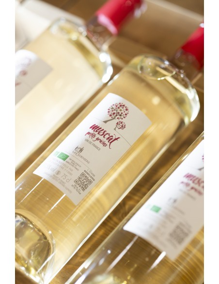 copy of Muscat Petits Grains Pétillant Demi-sec
