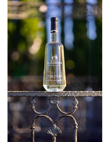 Vallon d'Escale Blanc 2019 75cl