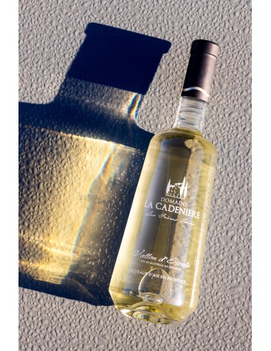 Vallon d'Escale Blanc 2019 75cl