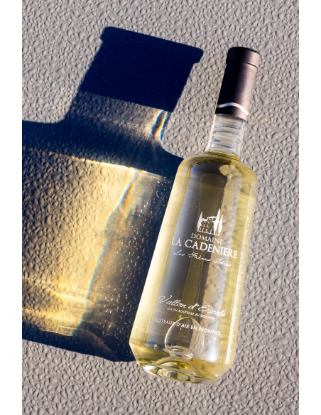 Vallon d'Escale Blanc 2019 75cl